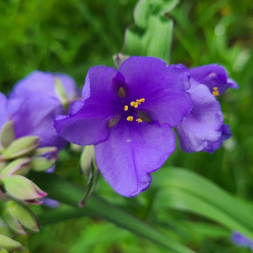 Meet your Posher, Aubrey